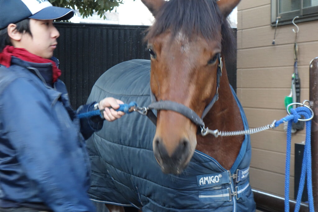 代々木ポニー公園の写真11