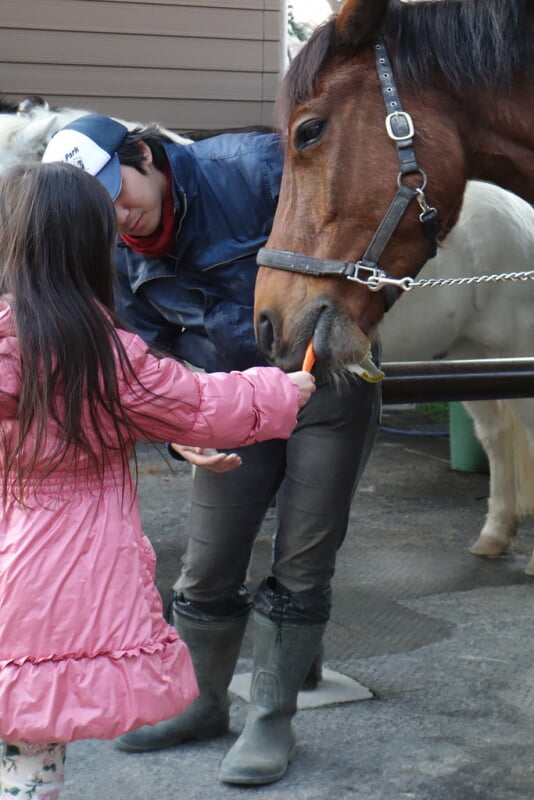 代々木ポニー公園の写真12