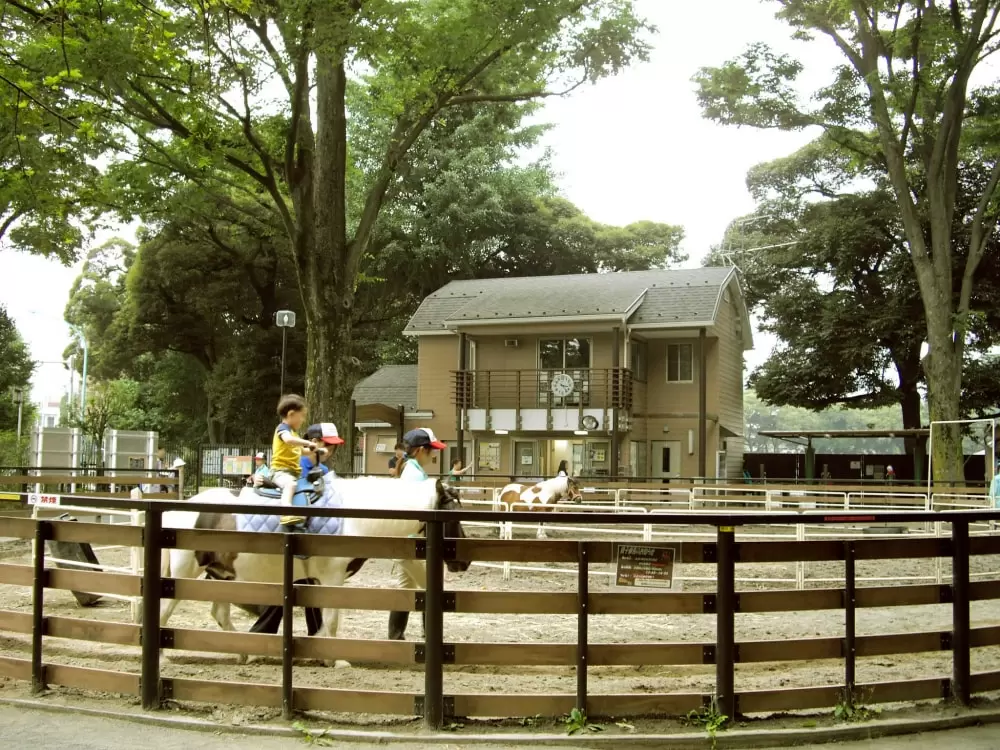 代々木ポニー公園の写真1
