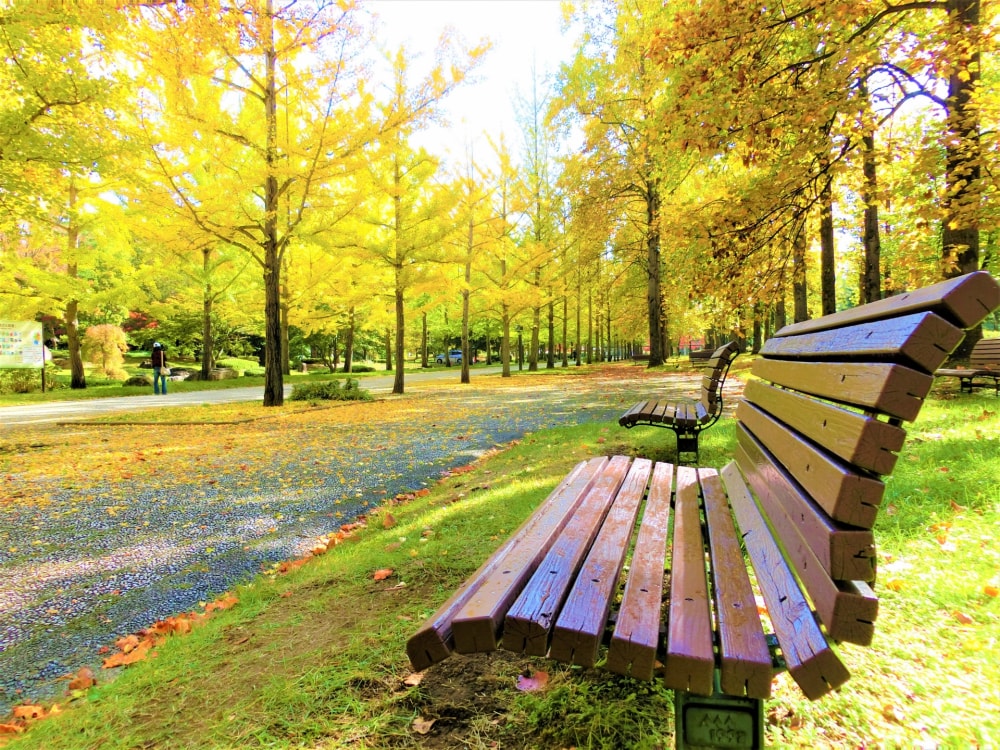 山形県総合運動公園の写真4