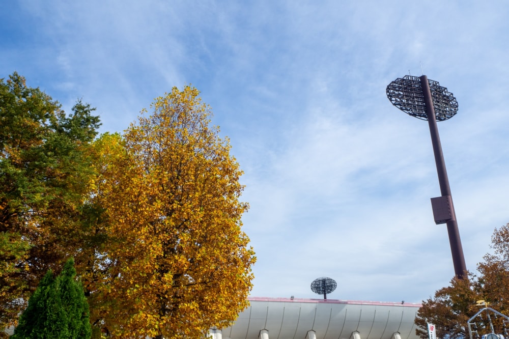 山形県総合運動公園の写真6