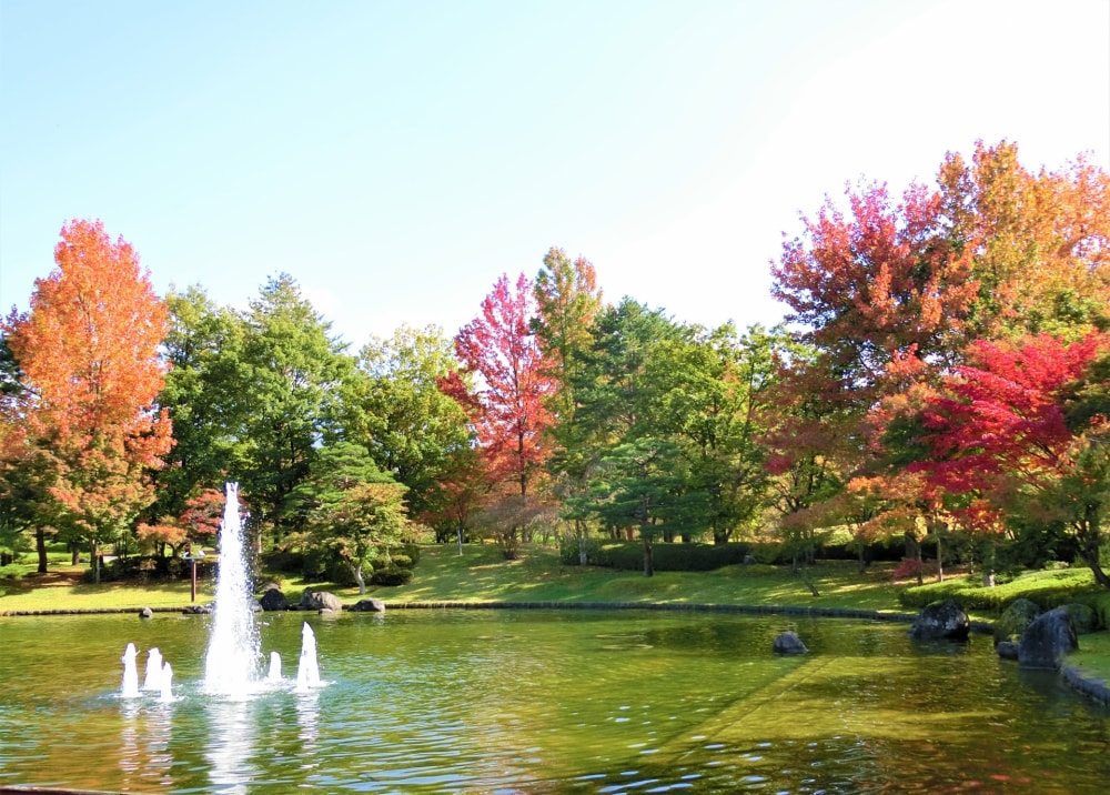 山形県総合運動公園の写真8