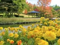 山形県総合運動公園