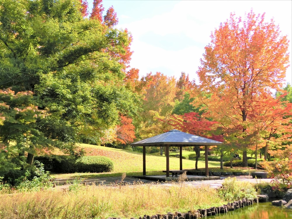 山形県総合運動公園の写真11