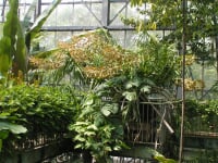 国立科学博物館 筑波実験植物園