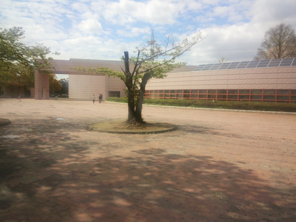 豊橋市自然史博物館の写真2