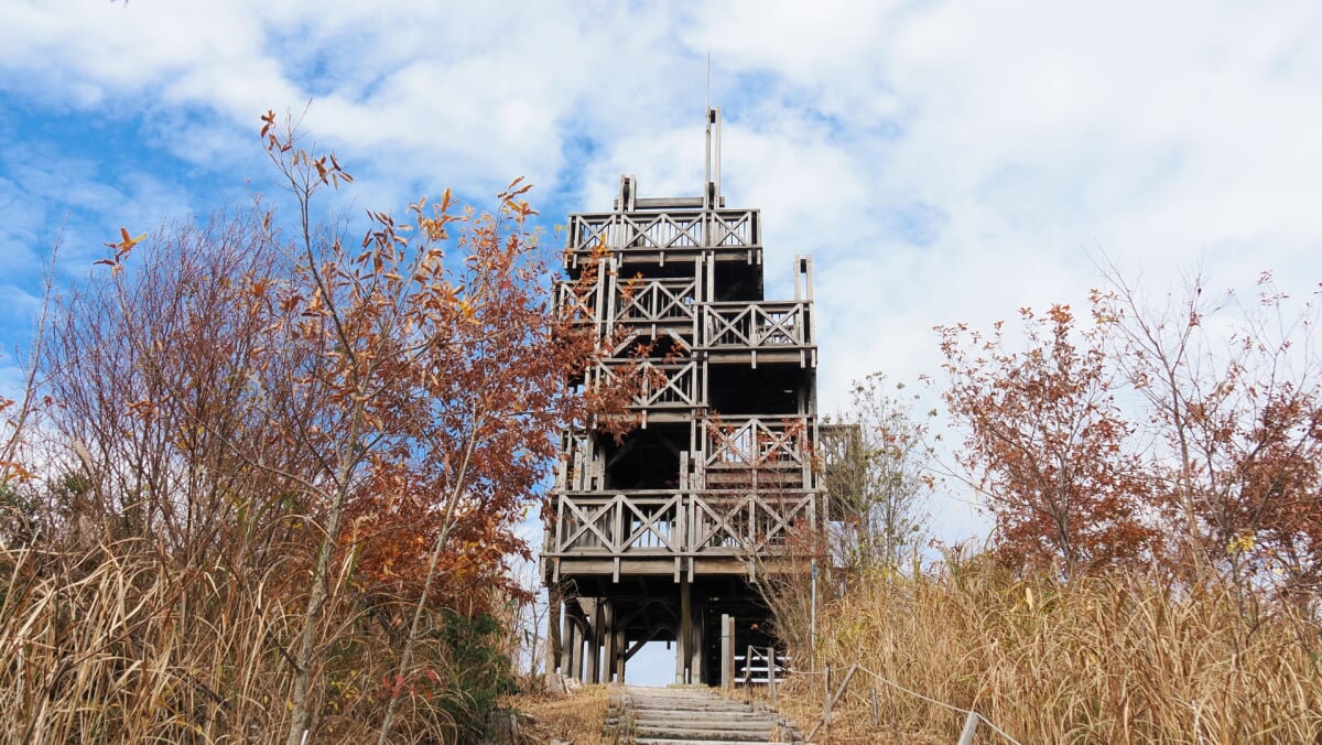 エキスポ’90 箕面記念の森の写真1