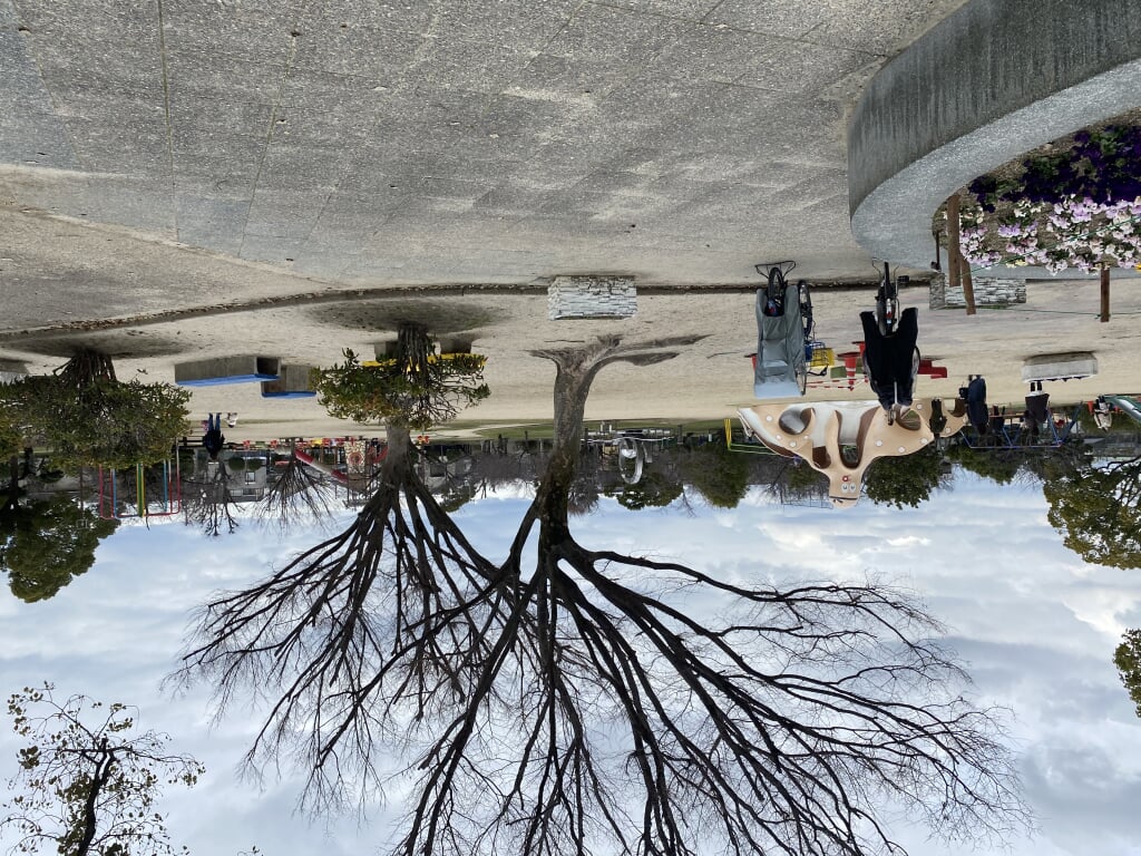 高槻城公園の写真2