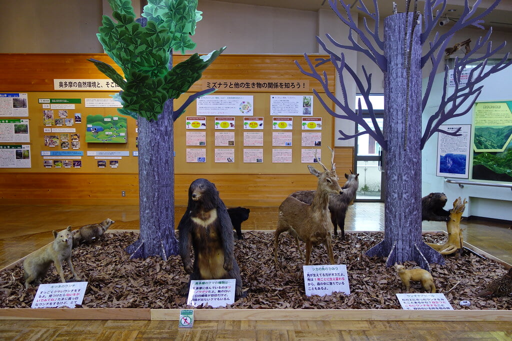 奥多摩ビジターセンターの写真2