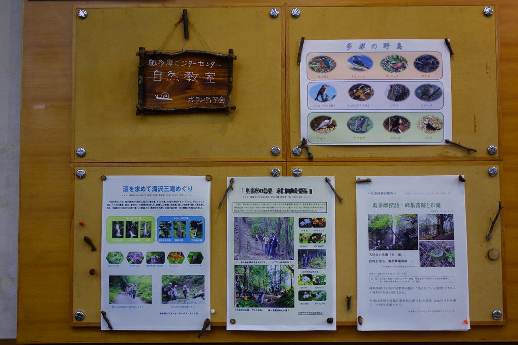 奥多摩ビジターセンターの写真3