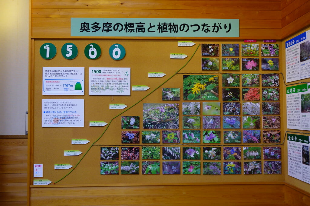 奥多摩ビジターセンターの写真6