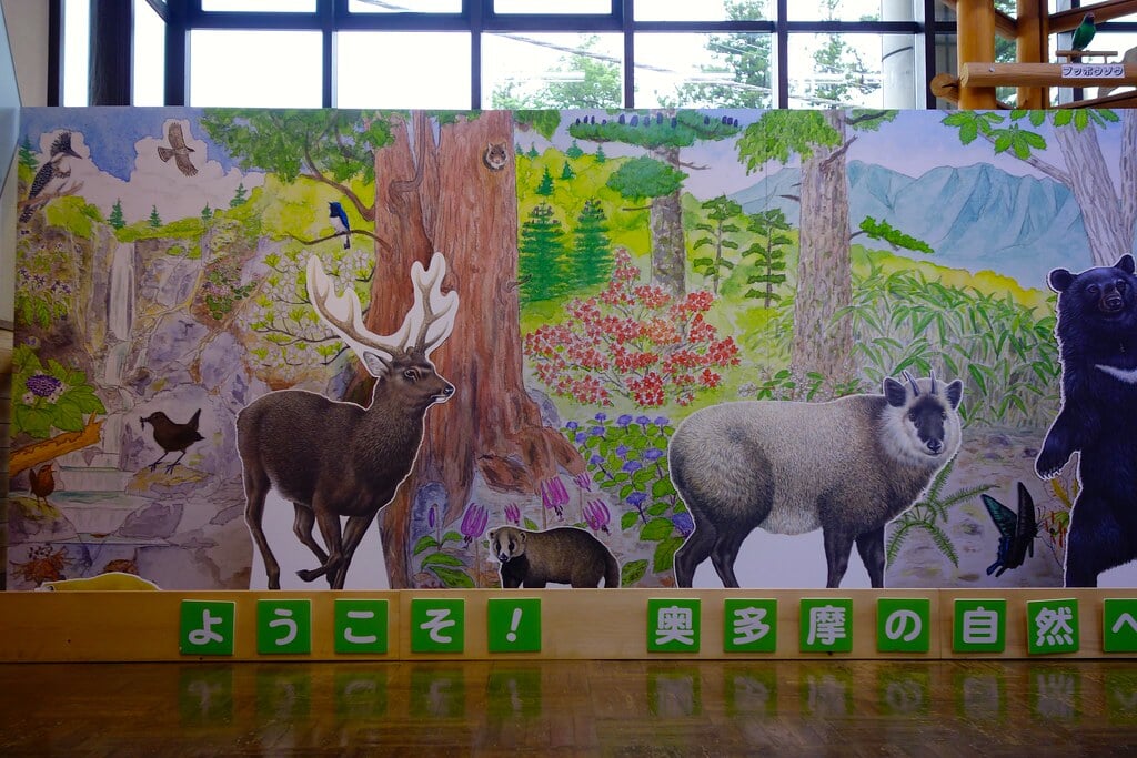 奥多摩ビジターセンターの写真9