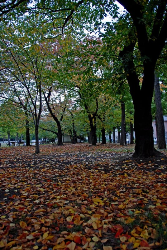 蒔田公園の写真2
