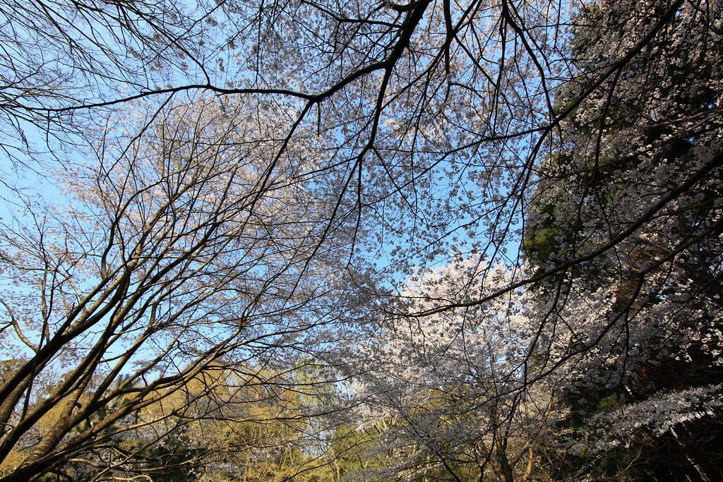 泉自然公園の写真4