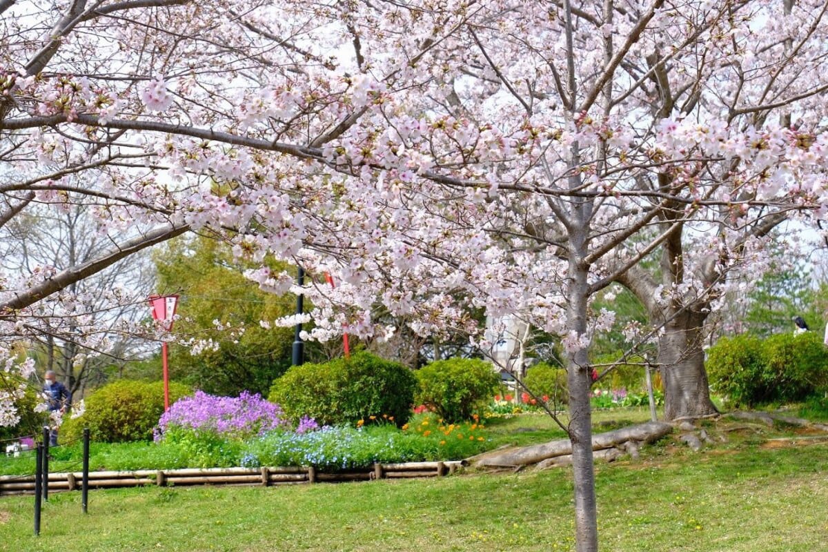 日岡山公園の写真4