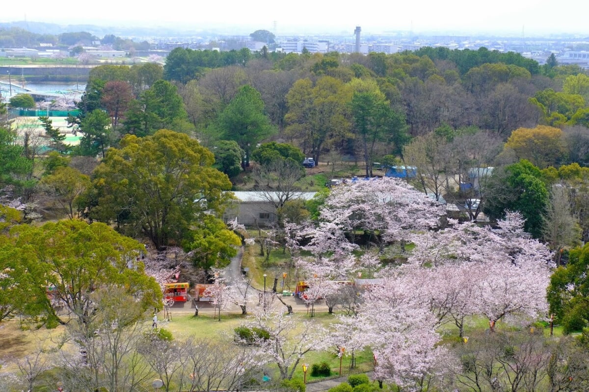 日岡山公園の写真5