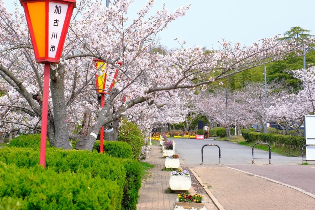 日岡山公園の写真10