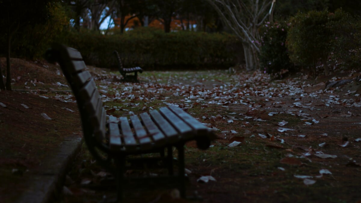 日岡山公園の写真11