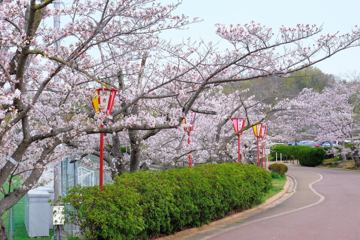 日岡山公園の写真12