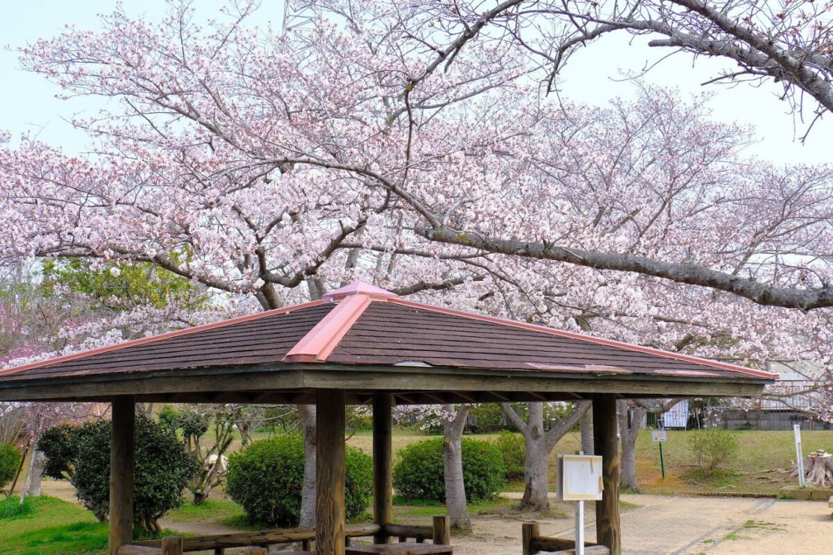 日岡山公園の写真17