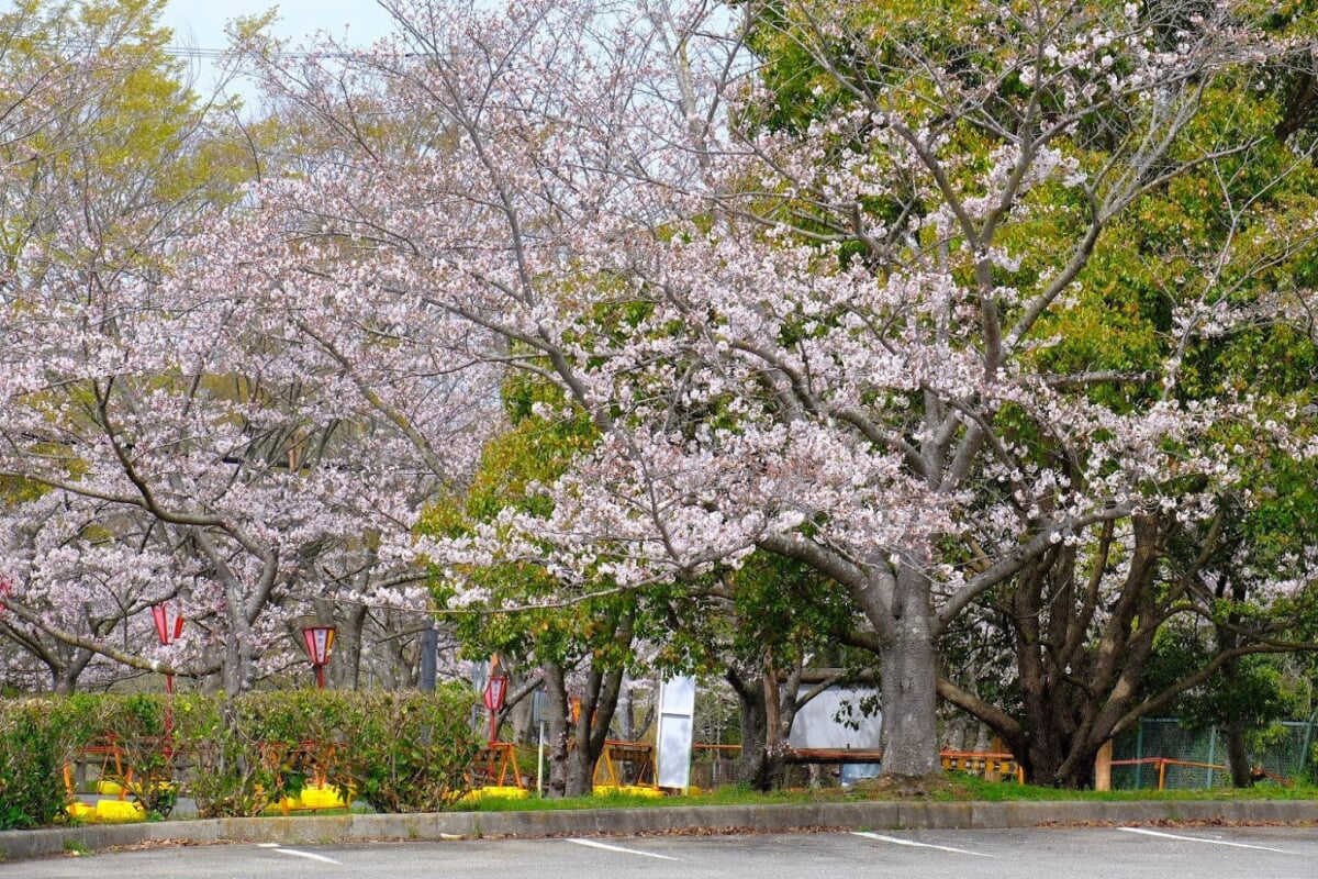 日岡山公園の写真18