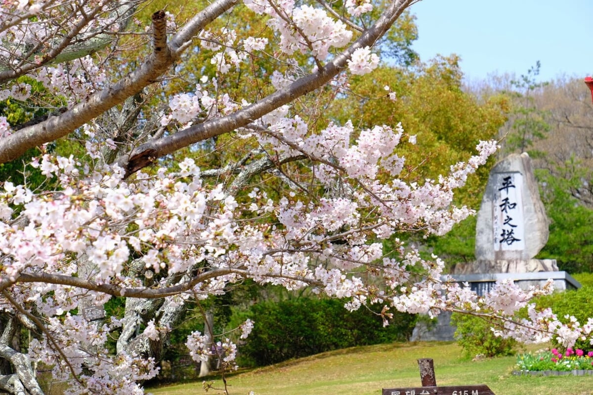 日岡山公園の写真1