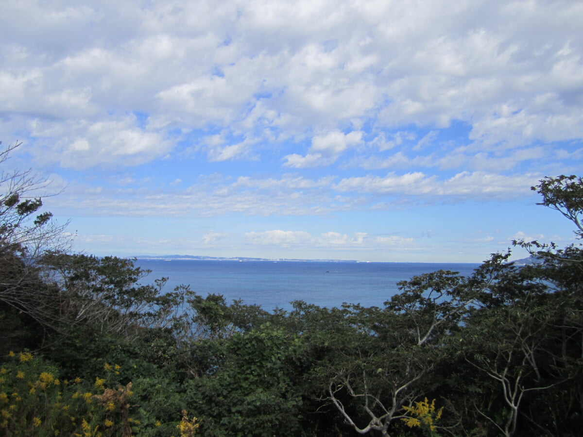 大房岬自然公園の写真3