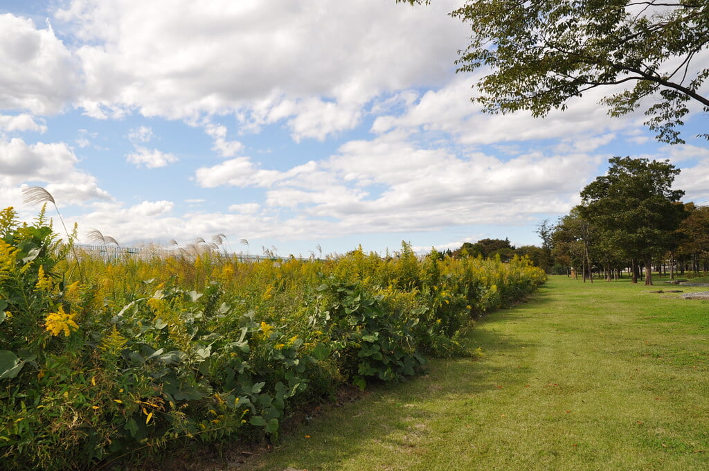 国立天文台の写真5