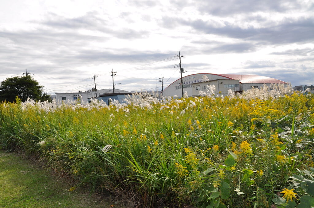 国立天文台の写真10