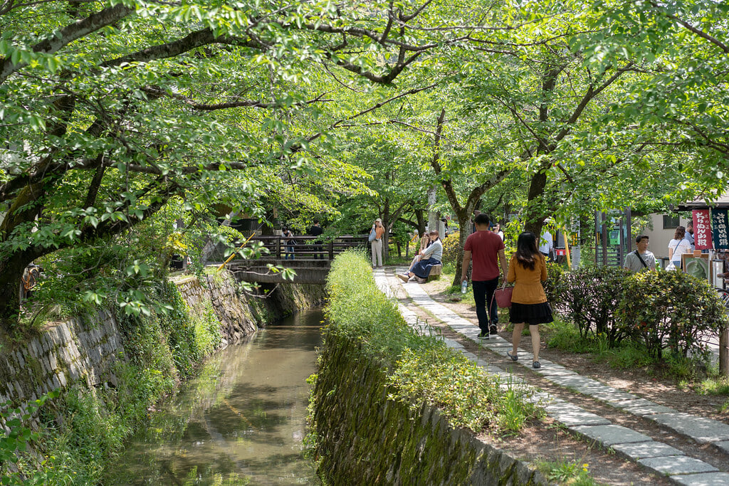 哲学の道の写真1