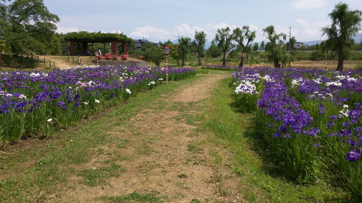 御殿場公園の写真3
