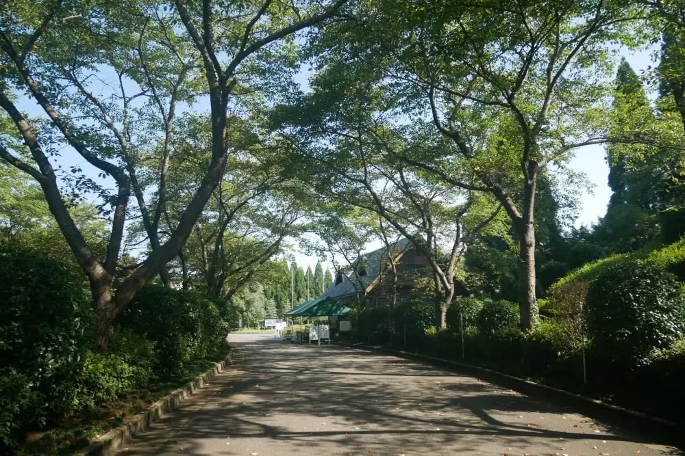 湧永満之記念庭園の写真1