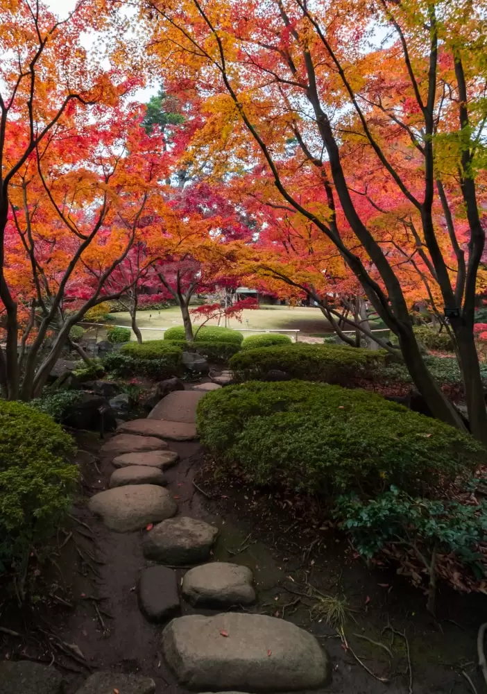 大田黒公園の写真1