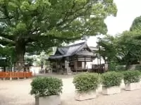 百舌鳥八幡宮