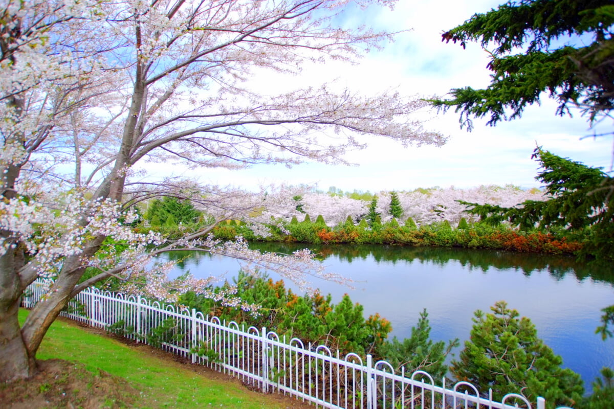 戸田記念墓地公園の写真2