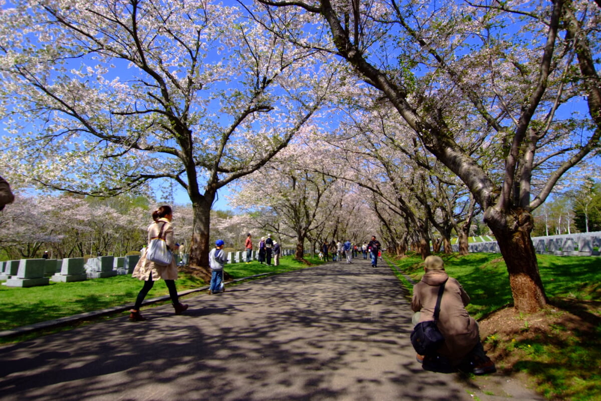 戸田記念墓地公園の写真9
