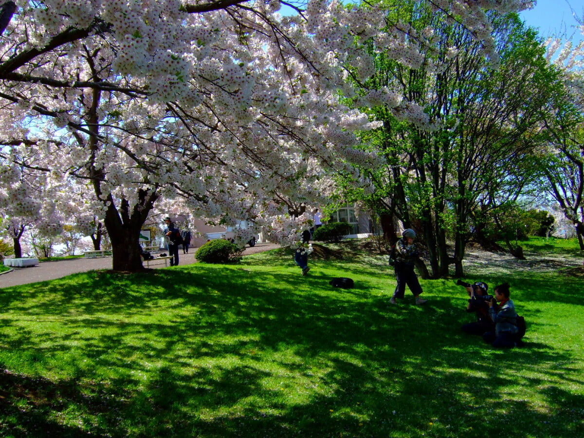 戸田記念墓地公園の写真11