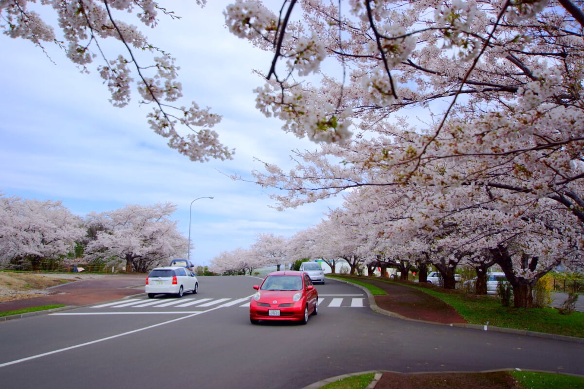 戸田記念墓地公園の写真12