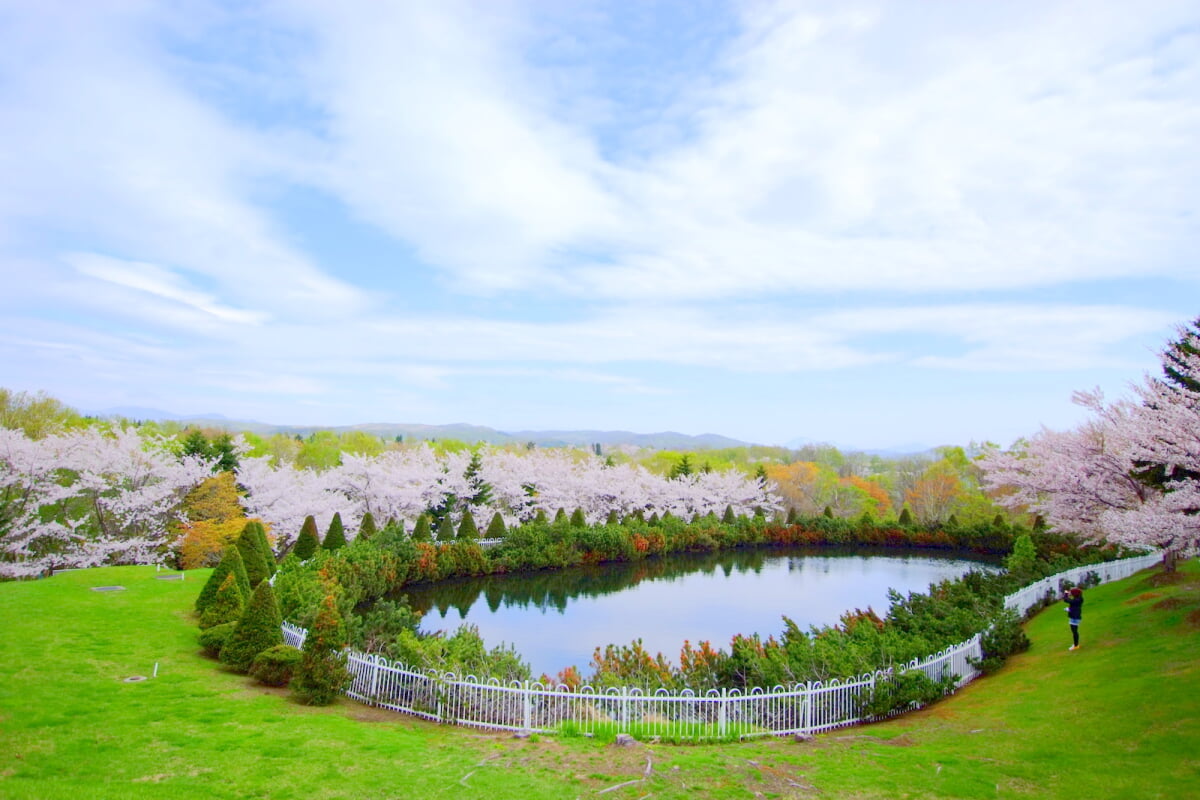 戸田記念墓地公園の写真13