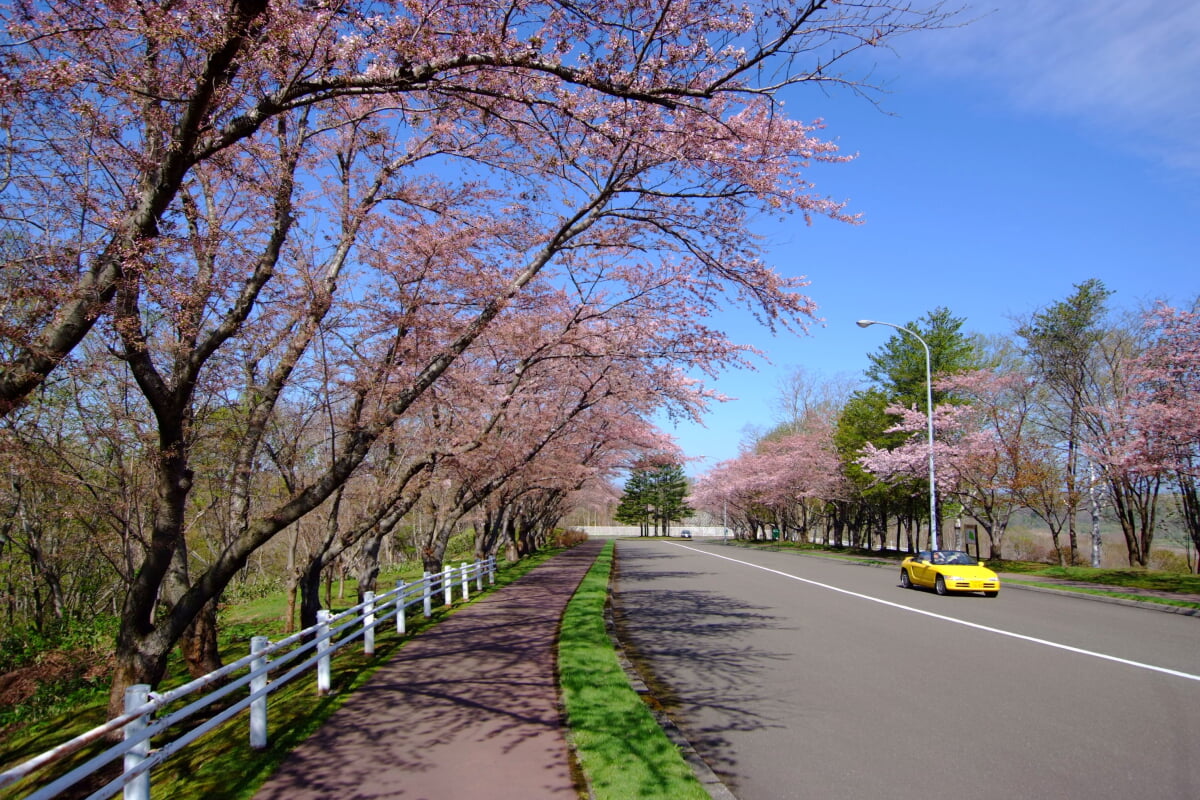 戸田記念墓地公園の写真14
