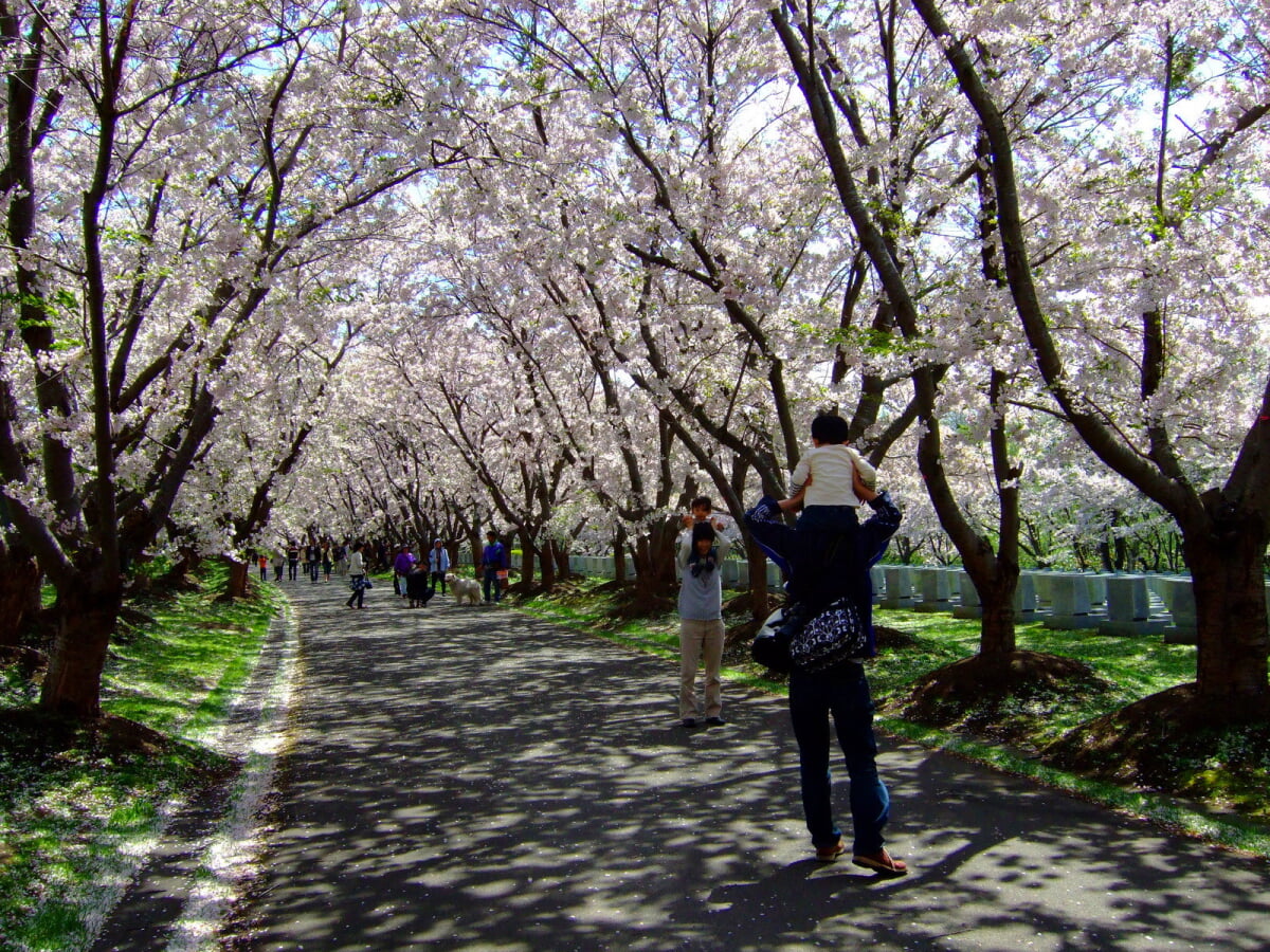 戸田記念墓地公園の写真15