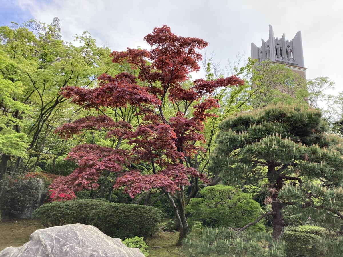 大隈庭園の写真3