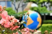 本郷給水所公苑