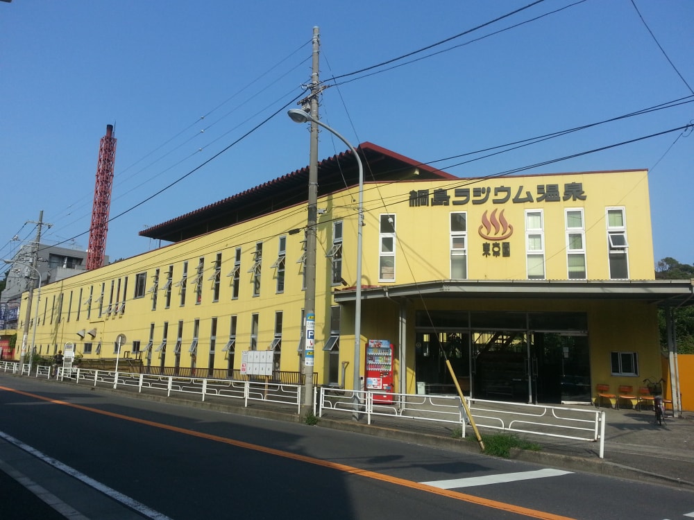 綱島ラジウム温泉東京園の写真2