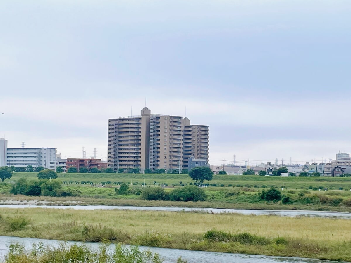 多摩川緑地・諏訪いこいの広場の写真2