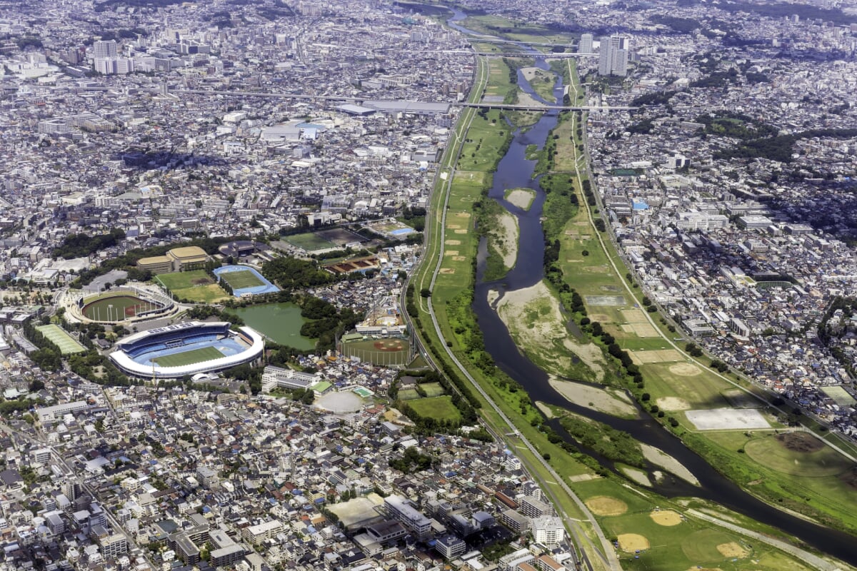 多摩川緑地・諏訪いこいの広場の写真3