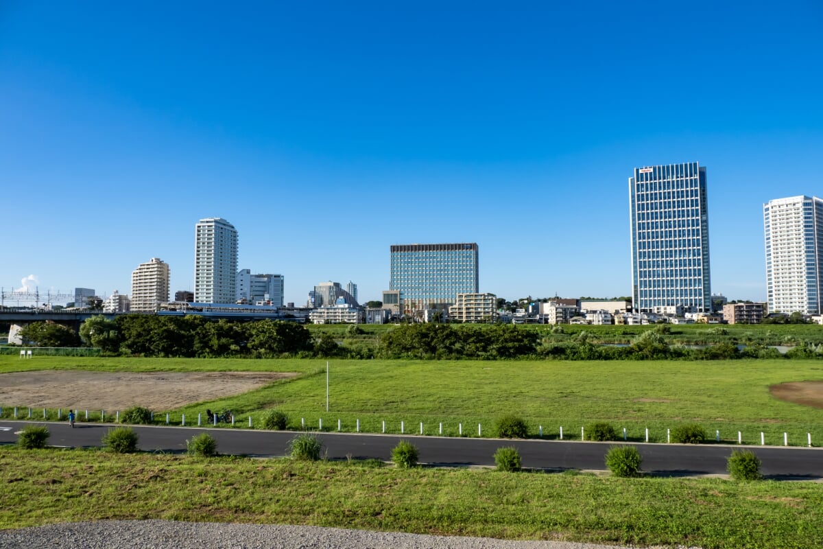 多摩川緑地・諏訪いこいの広場の写真6