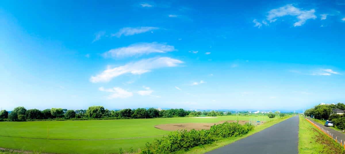 多摩川緑地・諏訪いこいの広場の写真1