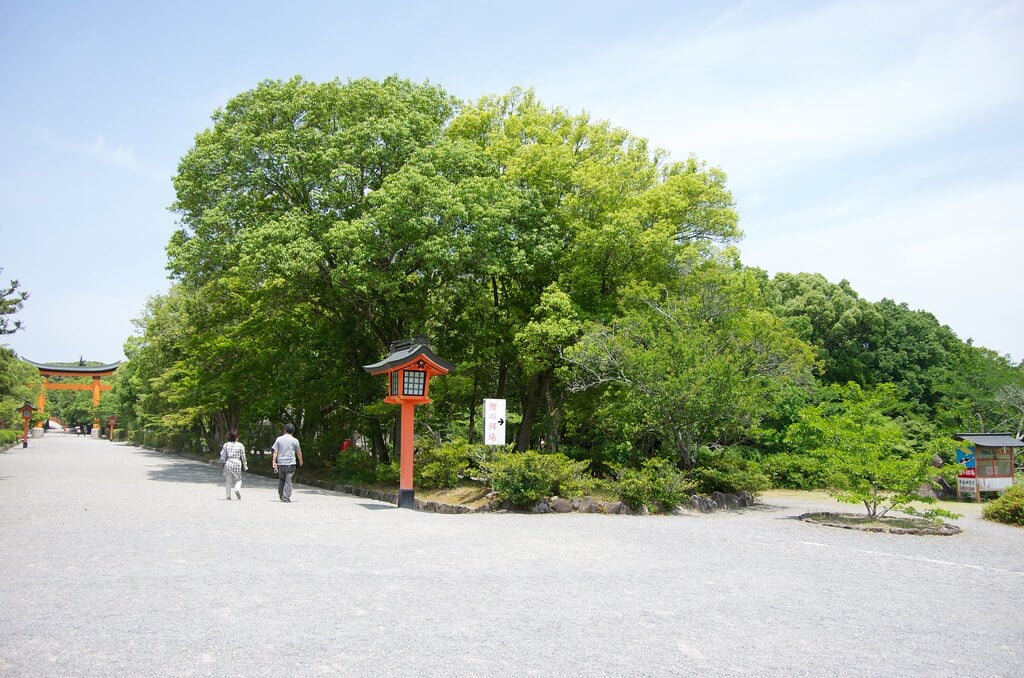 宇佐神宮の写真8