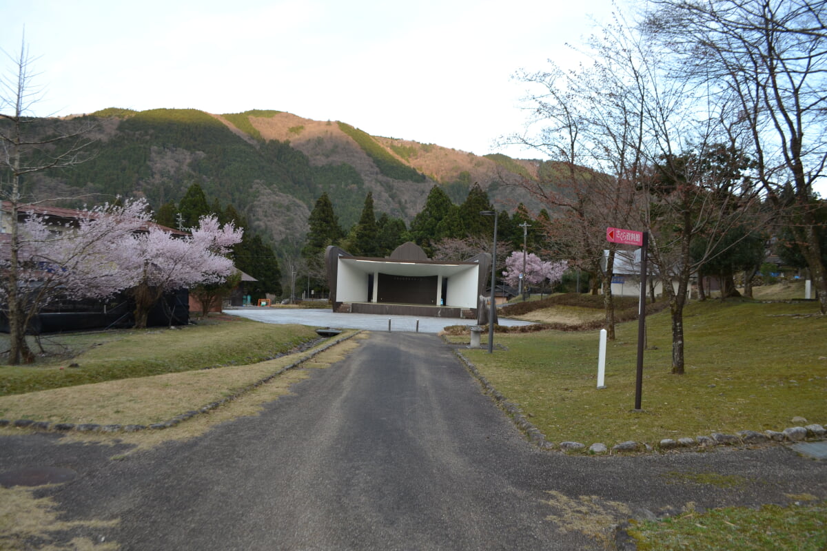 淡墨公園(根尾谷淡墨桜)の写真2